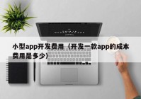 小型app开发费用（开发一款app的成本费用是多少）