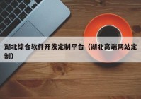 湖北综合软件开发定制平台（湖北高端网站定制）