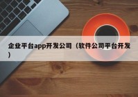 企业平台app开发公司（软件公司平台开发）