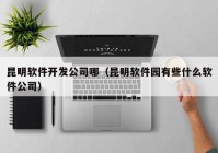 昆明软件开发公司哪（昆明软件园有些什么软件公司）