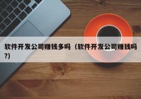 软件开发公司赚钱多吗（软件开发公司赚钱吗?）