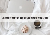 小程序开发厂家（微信小程序专业开发公司）