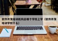 软件开发培训机构去哪个学校上学（软件开发培训学校什么）