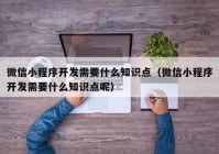 微信小程序开发需要什么知识点（微信小程序开发需要什么知识点呢）