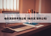 哈尔滨软件开发公司（哈尔滨 软件公司）