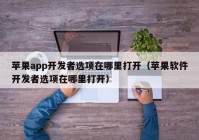 苹果app开发者选项在哪里打开（苹果软件开发者选项在哪里打开）