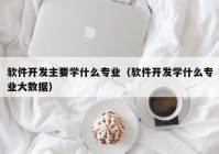 软件开发主要学什么专业（软件开发学什么专业大数据）