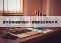 营销型网站建设案例（营销型企业网站案例）