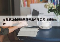 名称武汉市博畅软件开发有限公司（博畅app）