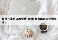 软件开发培训班学费（软件开发培训班学费贵吗）