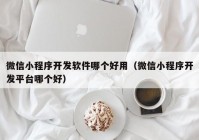 微信小程序开发软件哪个好用（微信小程序开发平台哪个好）