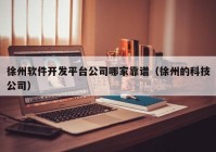 徐州软件开发平台公司哪家靠谱（徐州的科技公司）