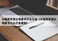 小程序开发公司属于什么行业（小程序开发公司属于什么行业类别）