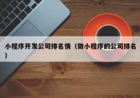 小程序开发公司排名情（做小程序的公司排名）