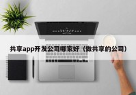 共享app开发公司哪家好（做共享的公司）