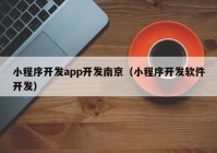 小程序开发app开发南京（小程序开发软件开发）