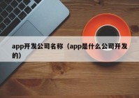 app开发公司名称（app是什么公司开发的）