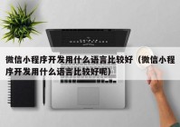 微信小程序开发用什么语言比较好（微信小程序开发用什么语言比较好呢）