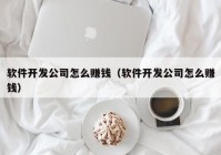 软件开发公司怎么赚钱（软件开发公司怎么赚钱）