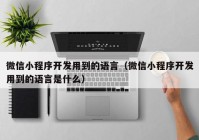 微信小程序开发用到的语言（微信小程序开发用到的语言是什么）